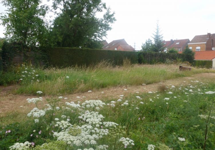 Vente terrain à Sin-le-Noble - Ref.SIN1283 - Image 1