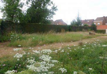 Vente terrain à Sin-le-Noble - Ref.SIN1283 - Image 1