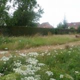 Vente terrain à Sin-le-Noble - Ref.SIN1283 - Image 1