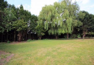 Vente maison à Sin-le-Noble - Ref.SIN1285 - Image 1