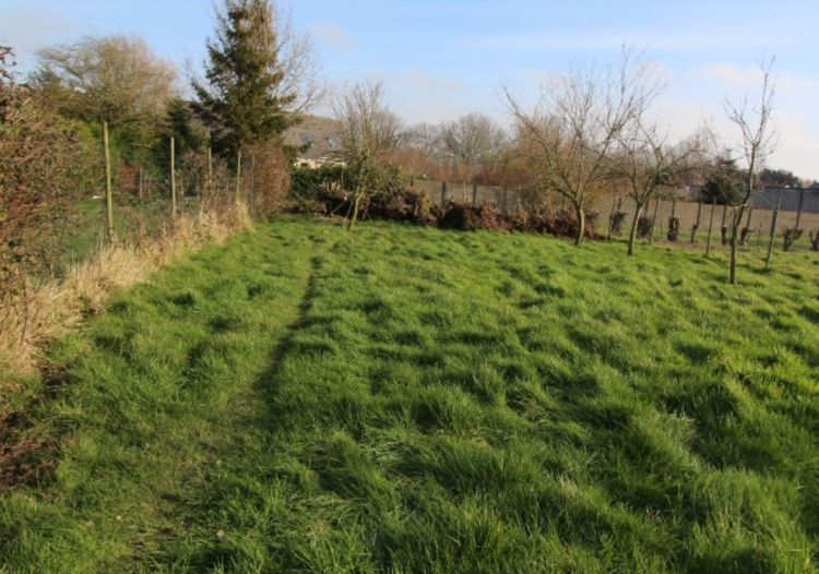 Vente maison à Crochte - Ref.WOR696 - Image 1