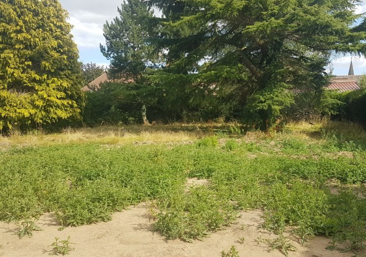 Vente terrain à Bois-Bernard - Ref.HEN1534 - Image 1