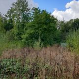 Vente terrain à La Comté - Ref.blb389