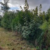 Vente terrain à La Comté - Ref.blb389 - Image 2