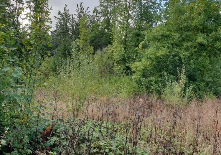 Vente terrain à La Comté - Ref.blb389 - Image 3