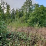 Vente terrain à La Comté - Ref.blb389 - Image 3