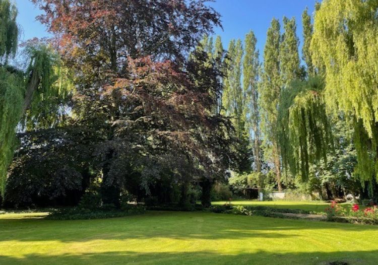 Vente maison à Santes - Ref.wav363a - Image 3