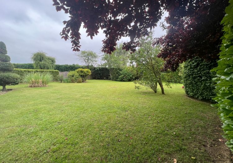 Vente terrain à Camphin-en-Carembault - Ref.ANN1083 - Image 3