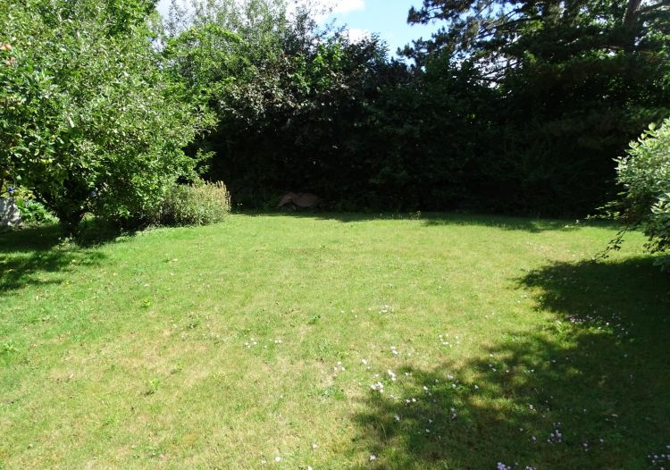 Vente terrain à Bruay-la-Buissière - Ref.CDBLB564 - Image 1