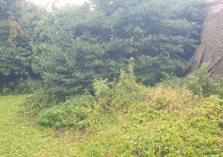 Vente maison à Noyelles-Godault - Ref.GDHEN1960 - Image 3