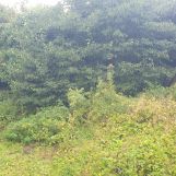 Vente maison à Noyelles-Godault - Ref.GDHEN1960 - Image 3