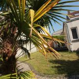 Vente maison à Lens - Ref.DOLEG2173 - Image 6