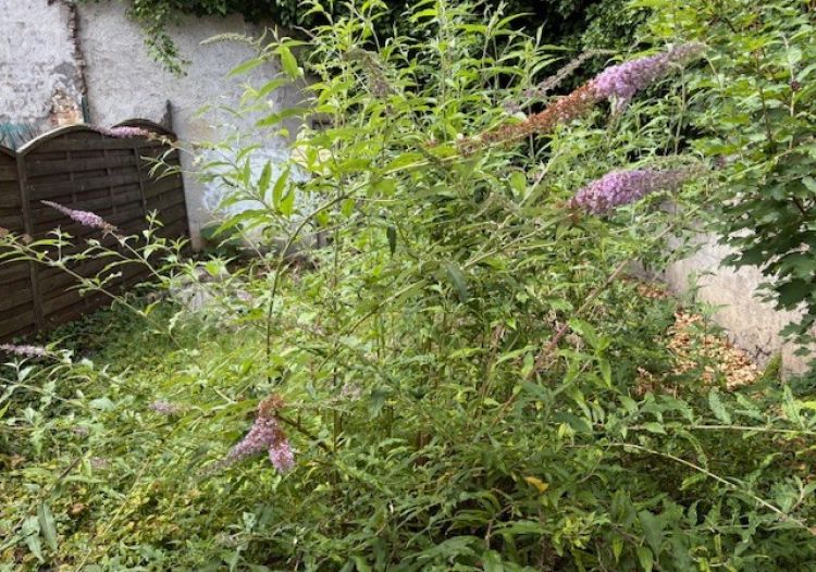 Vente maison à Roubaix - Ref.MTCRO1600 - Image 6