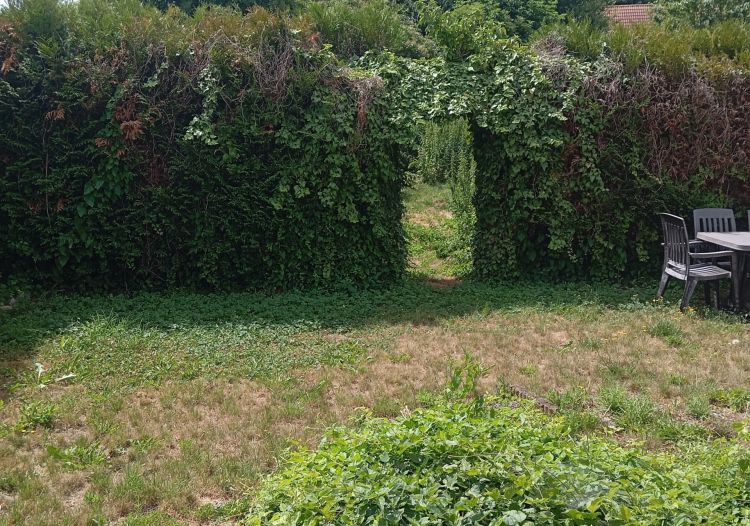 Vente maison à Sin-le-Noble - Ref.LLSIN548 - Image 4