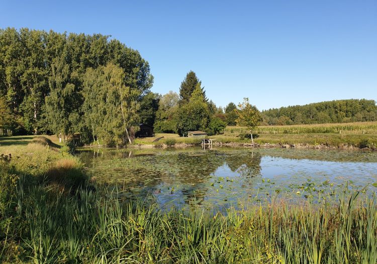 Vente terrain à Wandignies-Hamage - Ref.LHSOM2445BIS - Image 2