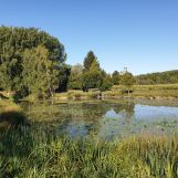 Vente terrain à Wandignies-Hamage - Ref.LHSOM2445BIS - Image 2