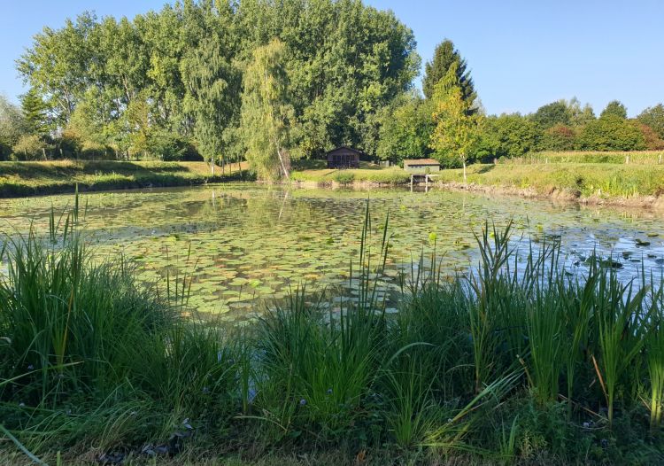 Vente terrain à Wandignies-Hamage - Ref.LHSOM2445BIS - Image 1