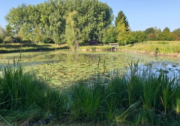 Vente terrain à Wandignies-Hamage - Ref.LHSOM2445BIS - Image 1