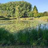 Vente terrain à Wandignies-Hamage - Ref.LHSOM2445BIS - Image 1