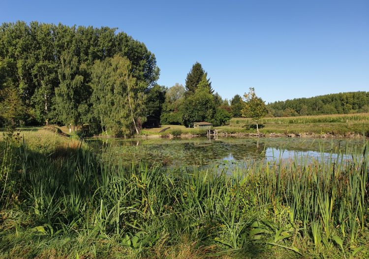 Vente terrain à Wandignies-Hamage - Ref.LHSOM2445BIS - Image 3