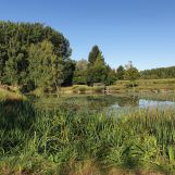 Vente terrain à Wandignies-Hamage - Ref.LHSOM2445BIS - Image 3