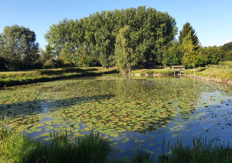 Vente terrain à Wandignies-Hamage - Ref.LHSOM2445BIS - Image 1