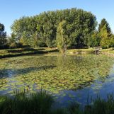 Vente terrain à Wandignies-Hamage - Ref.LHSOM2445BIS - Image 1