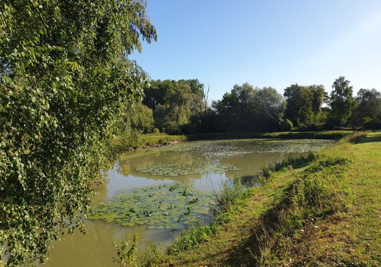 Vente terrain à Wandignies-Hamage - Ref.LHSOM2445BIS - Image 4