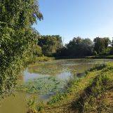 Vente terrain à Wandignies-Hamage - Ref.LHSOM2445BIS - Image 4