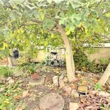 Vente maison à Loison-sous-Lens - Ref.DOLEG2181 - Image 5