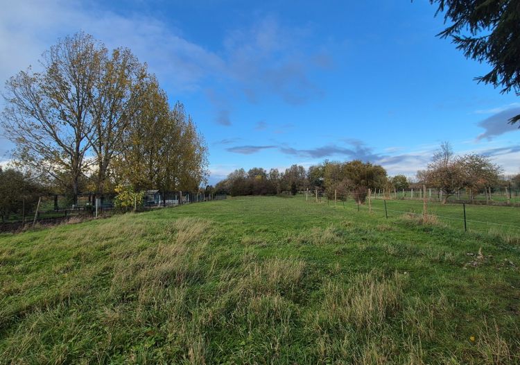 Vente maison à Douai - Ref.LLSIN554 - Image 5