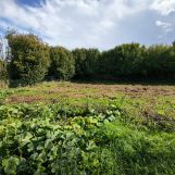 Vente terrain à Maisnil-lès-Ruitz - Ref.CRBLB577 - Image 1