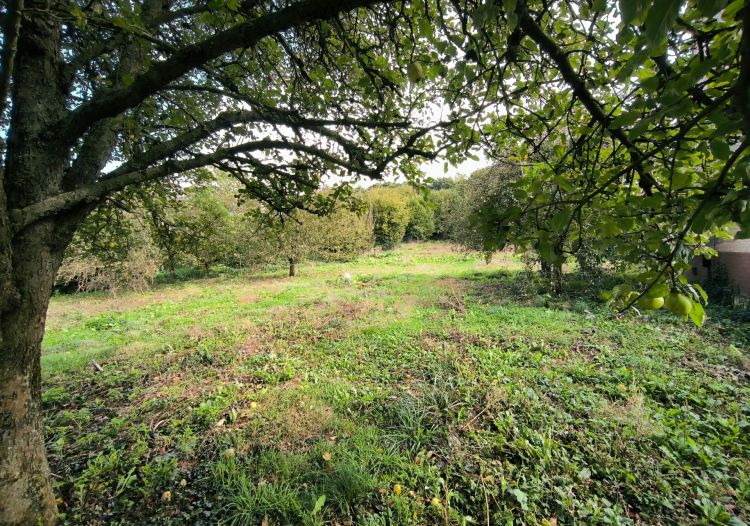 Vente terrain à Maisnil-lès-Ruitz - Ref.CRBLB577 - Image 1