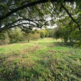 Vente terrain à Maisnil-lès-Ruitz - Ref.CRBLB577 - Image 1