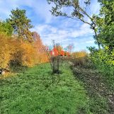 Vente maison à Bruay-la-Buissière - Ref.crblb584 - Image 6