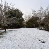 Vente terrain à Willems - Ref.ALHEM38 - Image 1