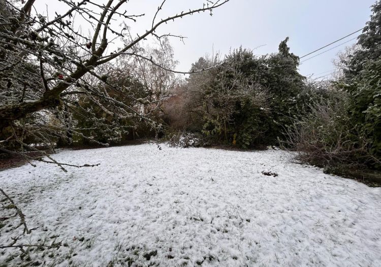 Vente terrain à Willems - Ref.ALHEM38 - Image 2