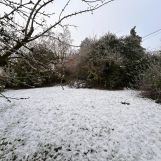 Vente terrain à Willems - Ref.ALHEM38 - Image 2