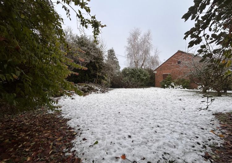 Vente terrain à Willems - Ref.ALHEM38 - Image 1