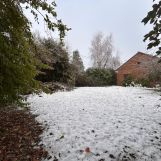 Vente terrain à Willems - Ref.ALHEM38 - Image 1