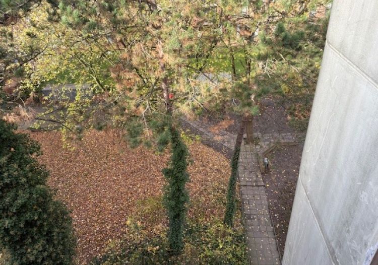 Vente appartement à Roubaix - Ref.MTCRO1622 - Image 5