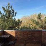 Vente appartement à Roubaix - Ref.MTCRO1622 - Image 3